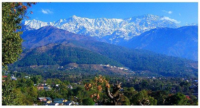 Angel'S Inn Resort Dharamshala Bagian luar foto